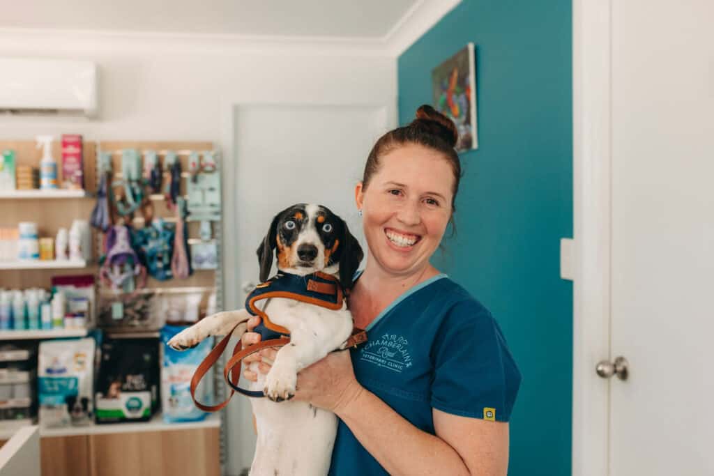 A woman happily holds a small dog in a pet store, showcasing the bond between humans and their furry companions.