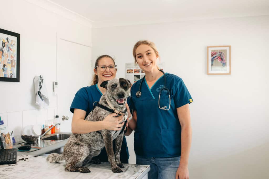 Two female veterinarians in scrubs gently holding a dog in a veterinary clinic room