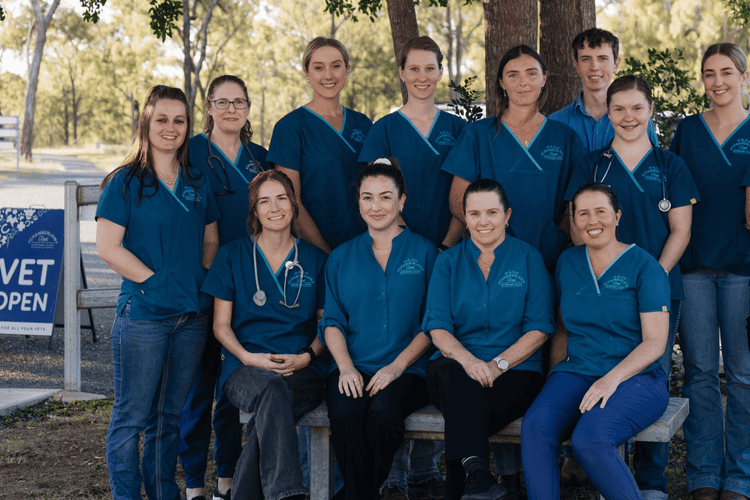 A group of Chamberlain Road Veterinary Clinic staff, dressed in blue uniforms, poses outdoors in front of a tree